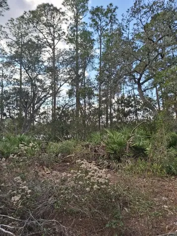 Deltona FL 32738