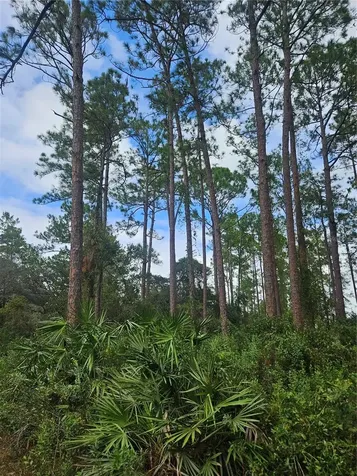 Deltona FL 32738