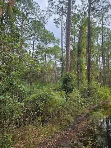 Deltona FL 32738
