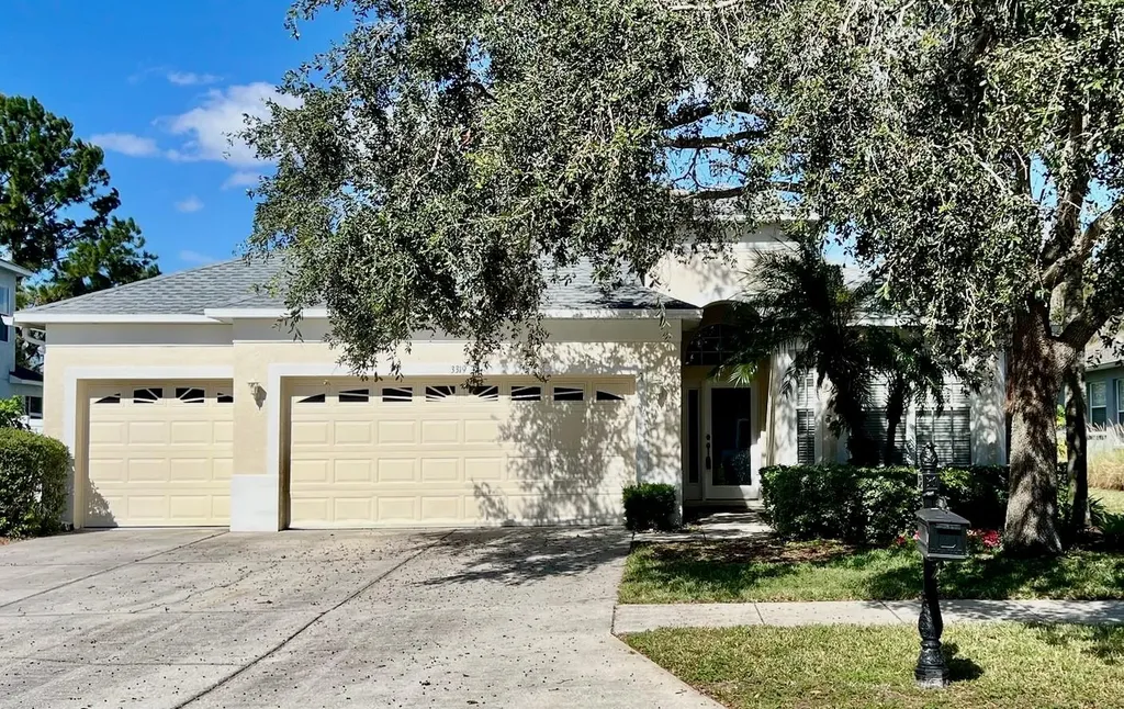 3319 Chessington Drive Land O Lakes FL 34638