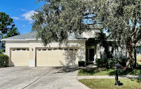 3319 Chessington Drive Land O Lakes FL 34638