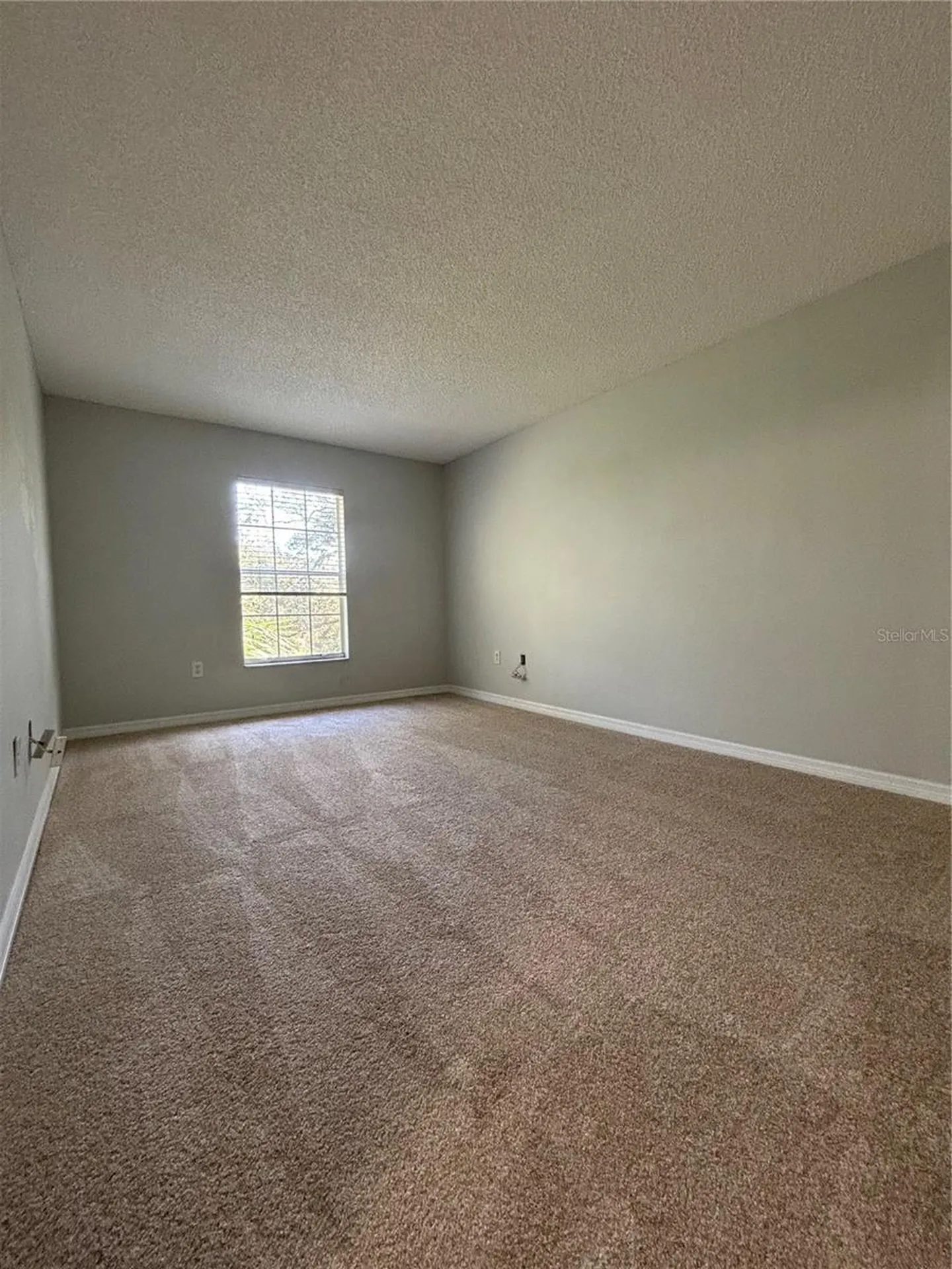 2690 Coral Landings Boulevard Palm Harbor FL 34684