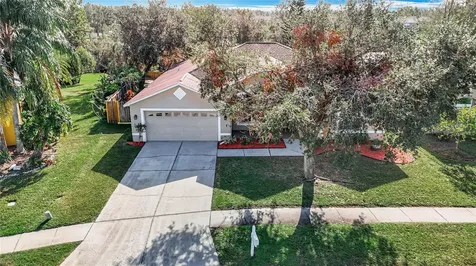 25306 Conestoga Drive Land O Lakes FL 34639