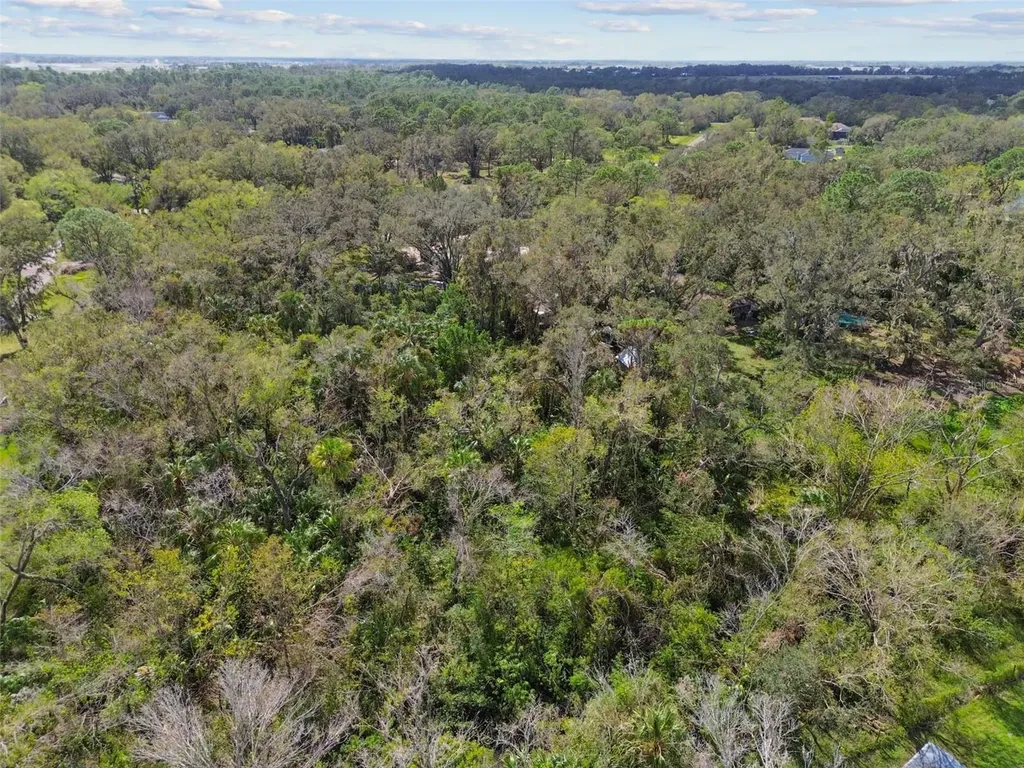 1619 Butch Cassidy Trail Wimauma FL 33598