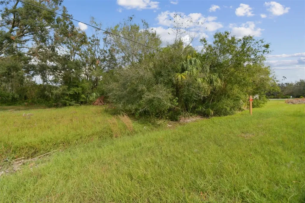 1619 Butch Cassidy Trail Wimauma FL 33598