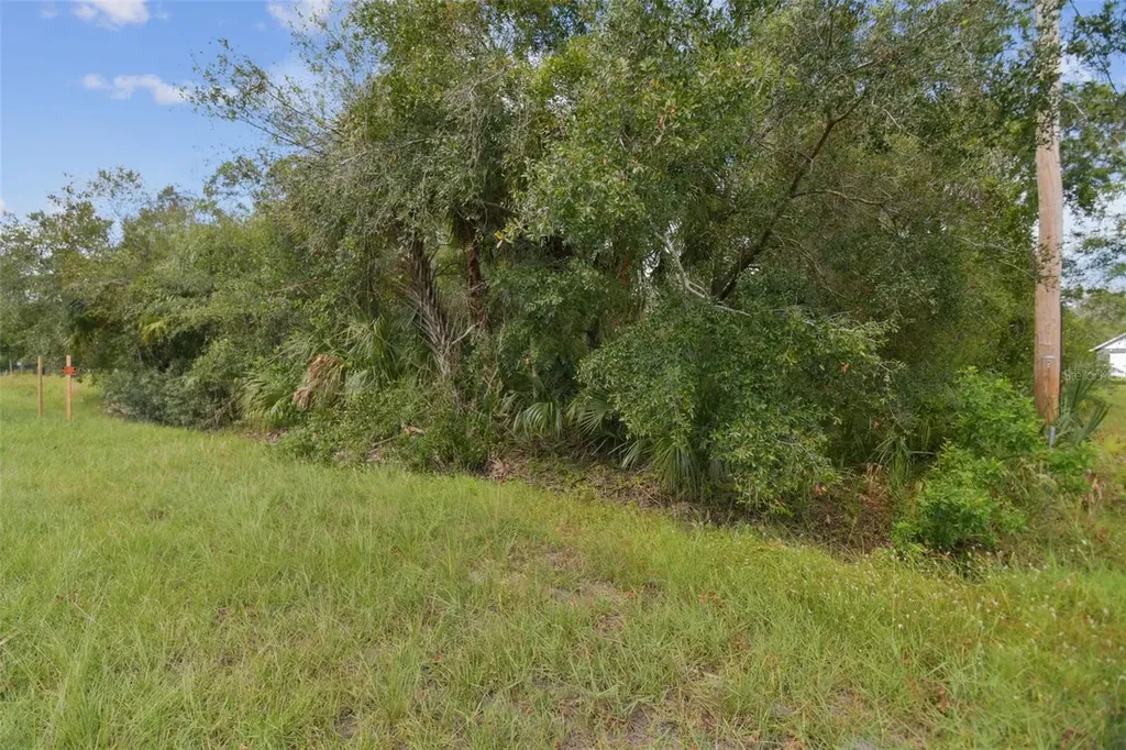 1619 Butch Cassidy Trail Wimauma FL 33598