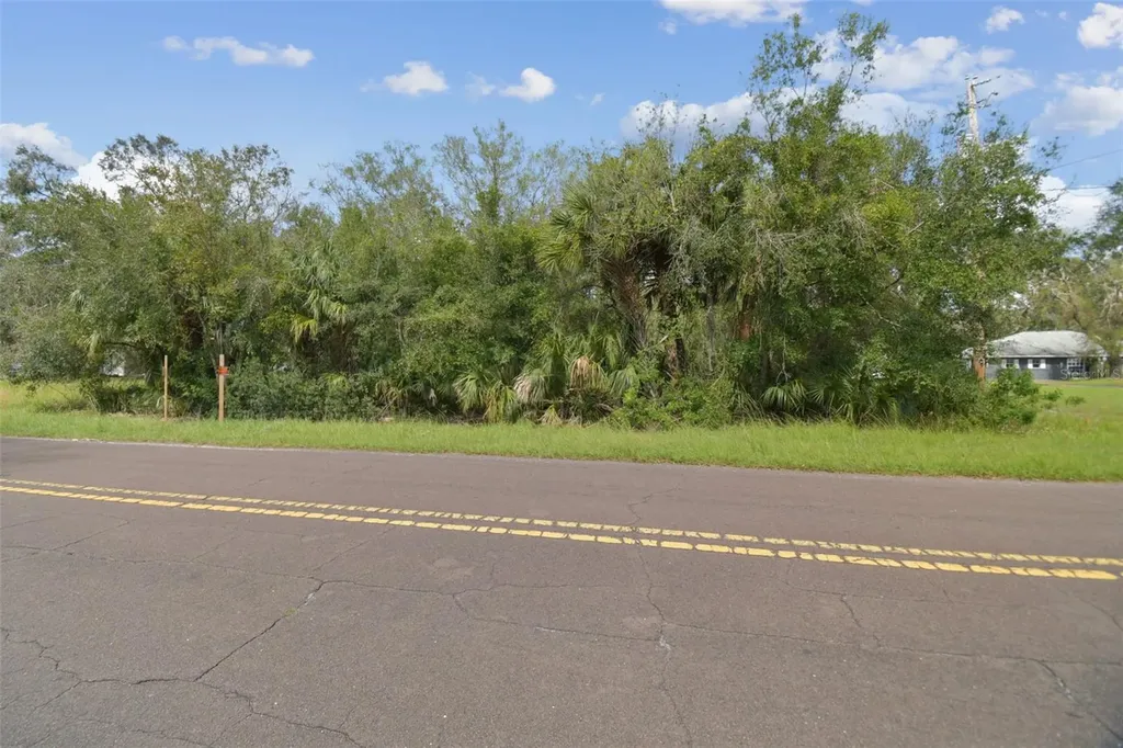 1619 Butch Cassidy Trail Wimauma FL 33598