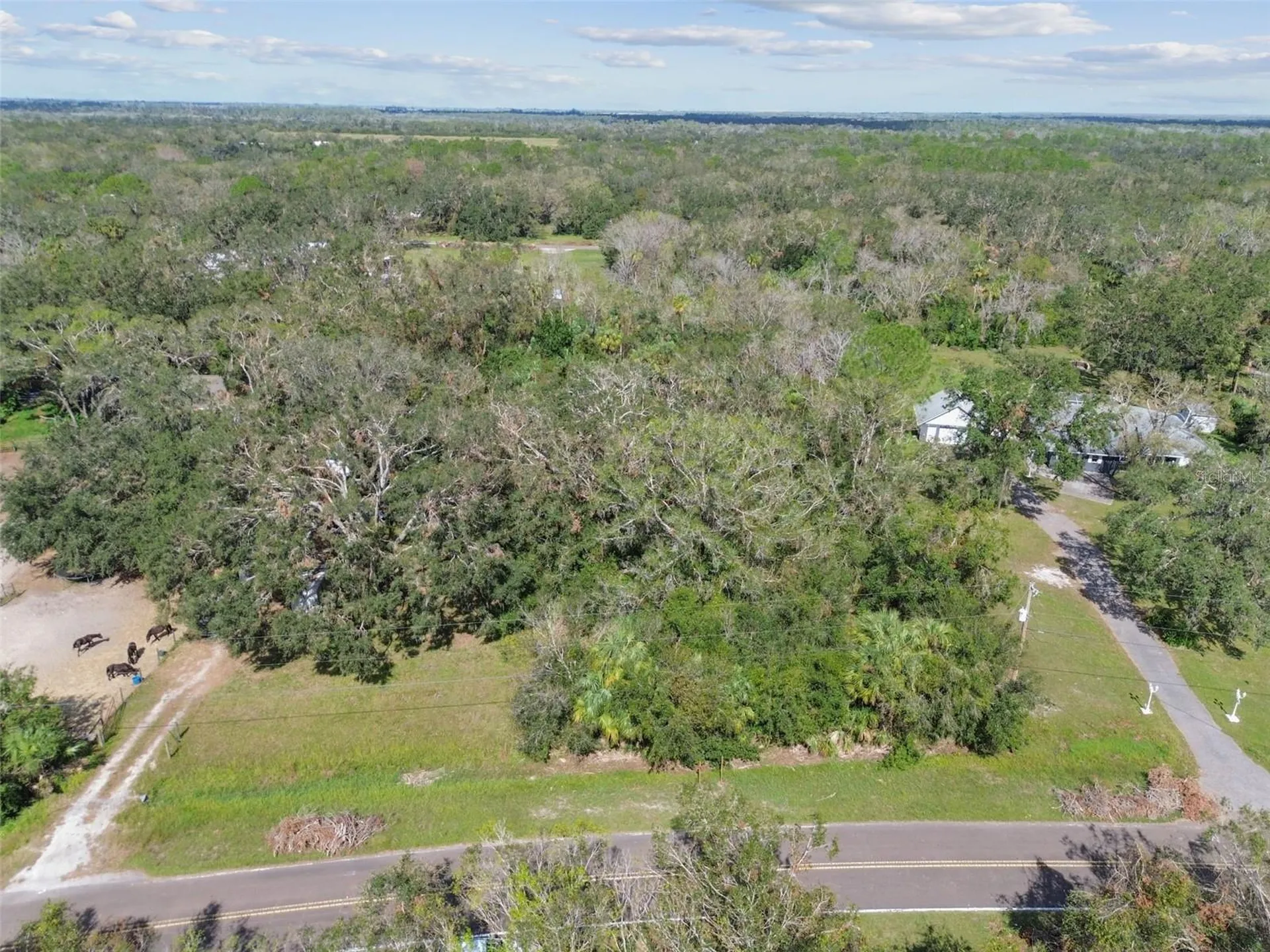 1619 Butch Cassidy Trail Wimauma FL 33598