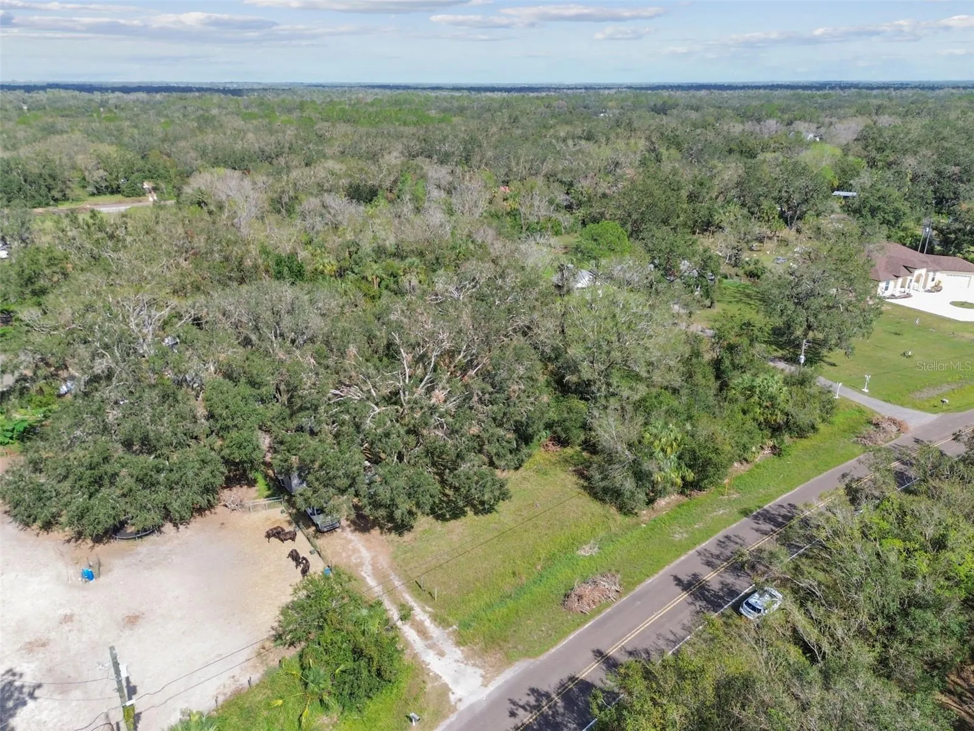 1619 Butch Cassidy Trail Wimauma FL 33598