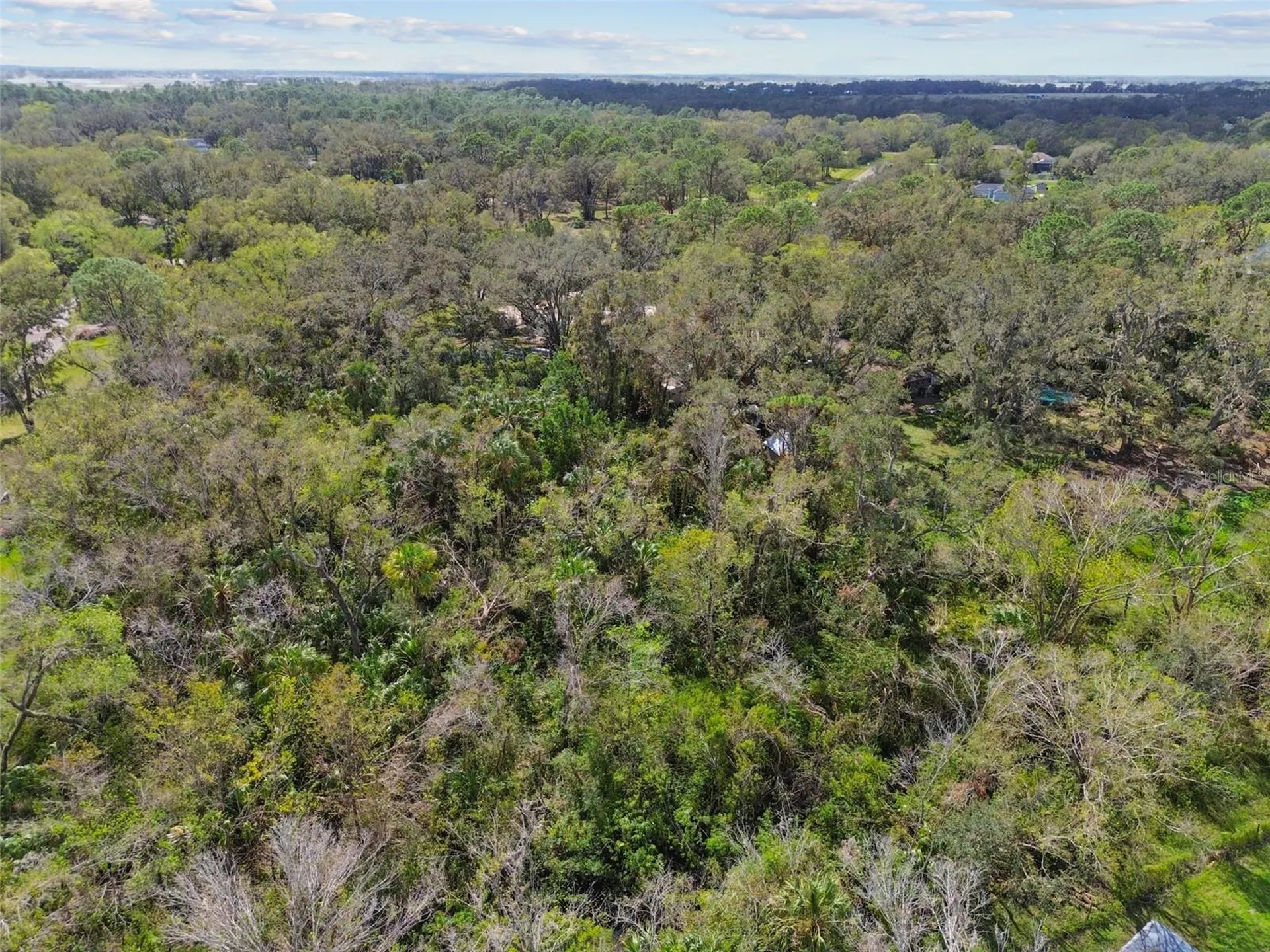 1619 Butch Cassidy Trail Wimauma FL 33598