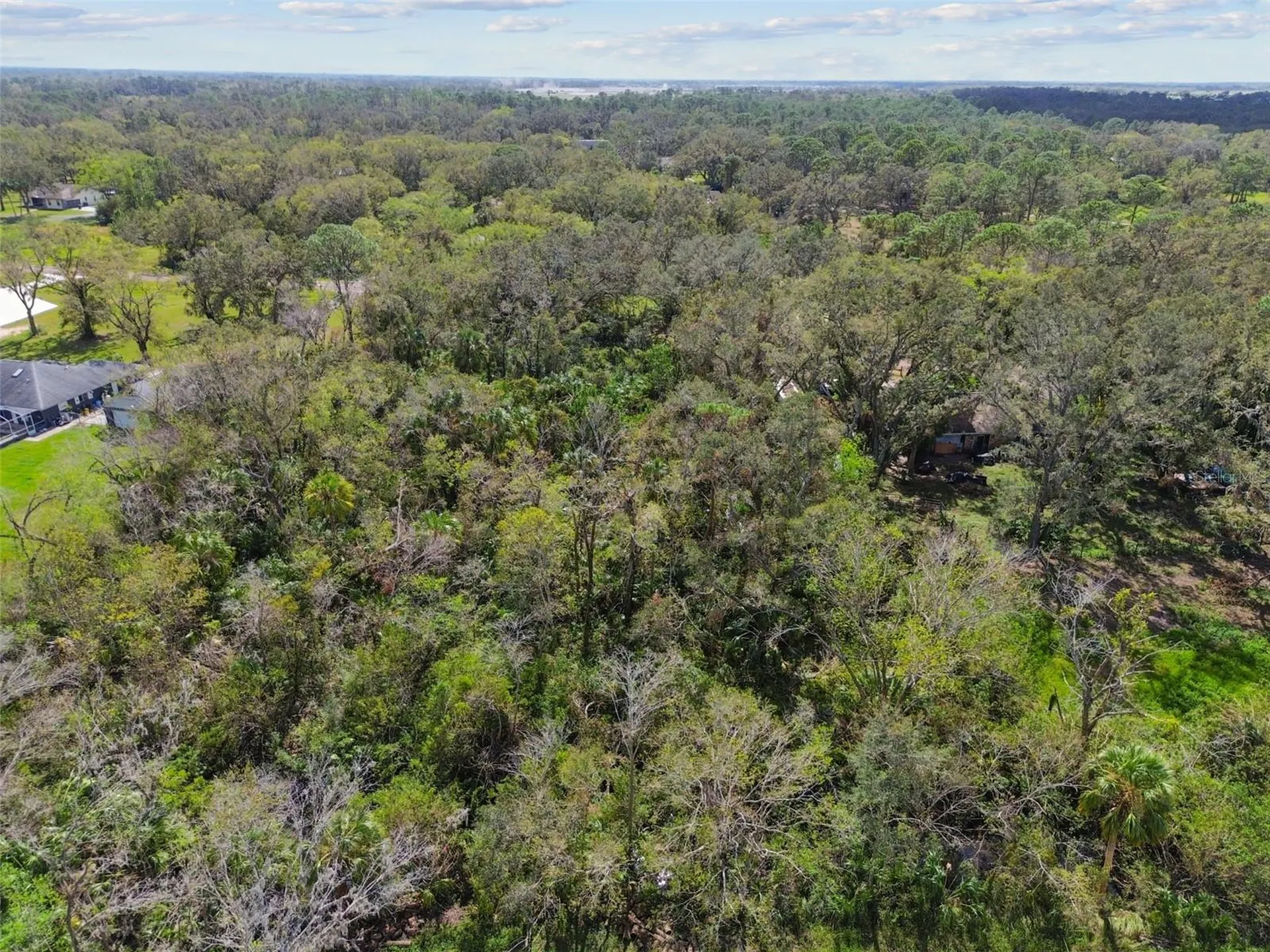 1619 Butch Cassidy Trail Wimauma FL 33598