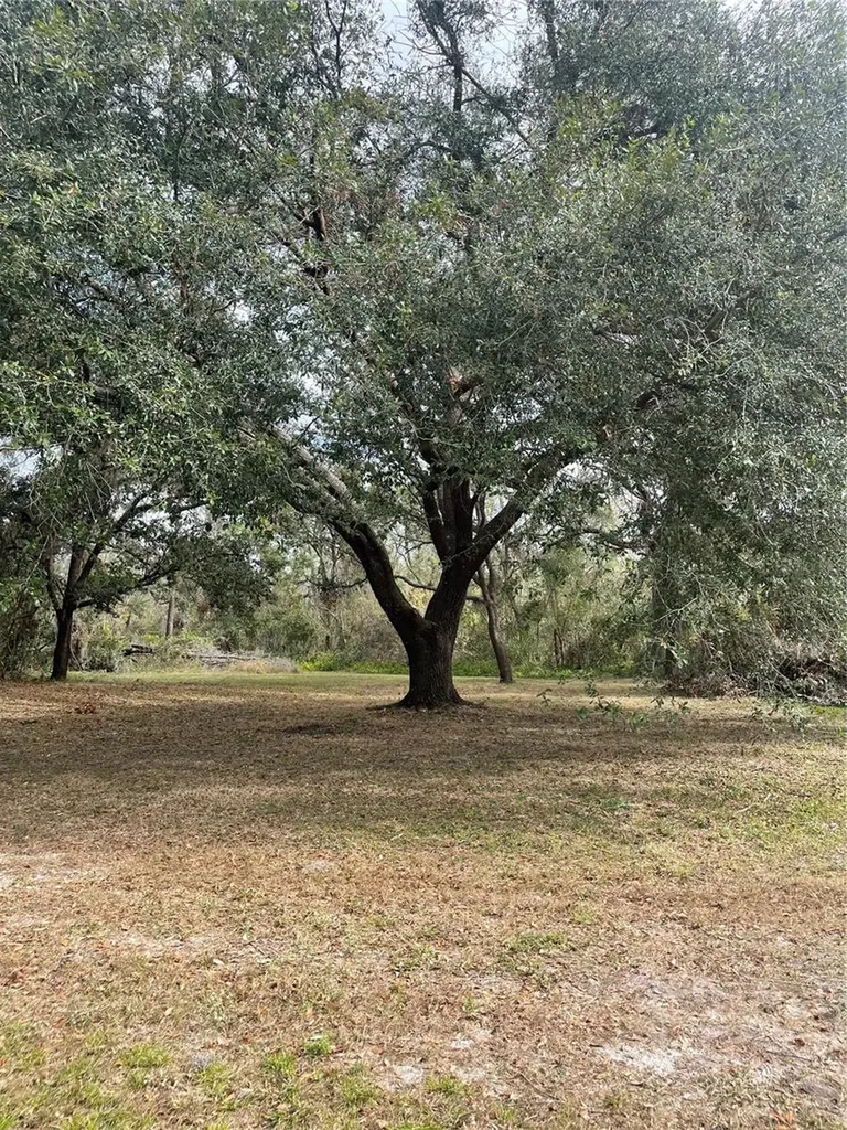 12355 Doris Road Parrish FL 34219