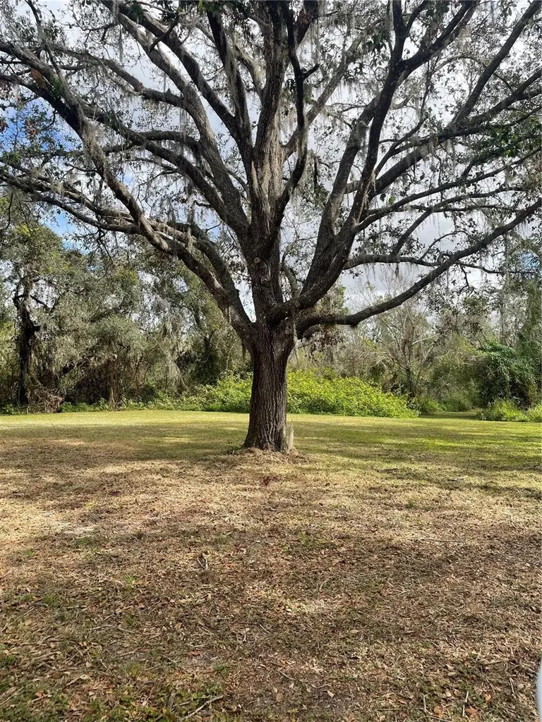 12355 Doris Road Parrish FL 34219