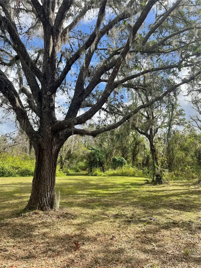 12355 Doris Road Parrish FL 34219