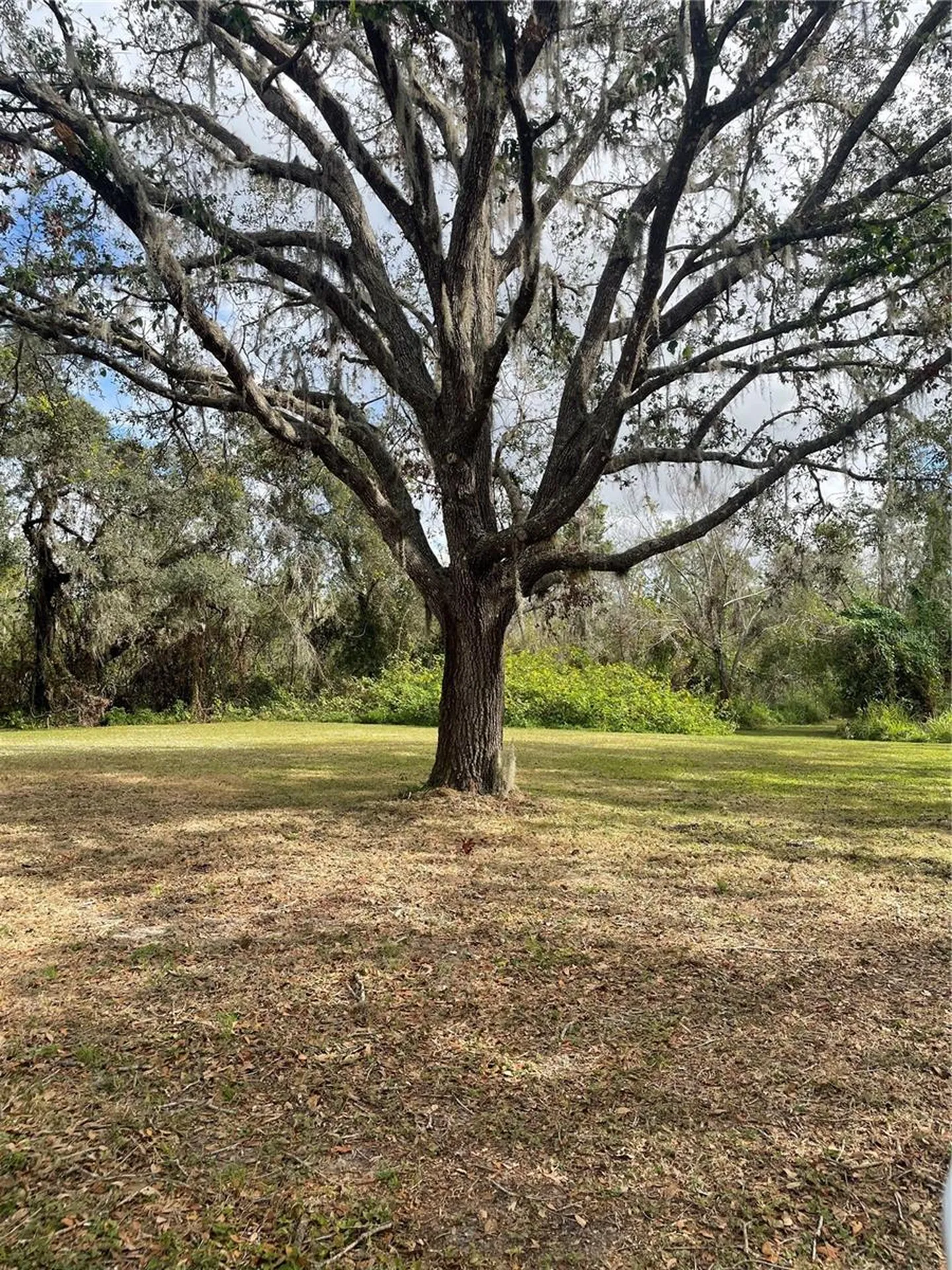 12355 Doris Road Parrish FL 34219