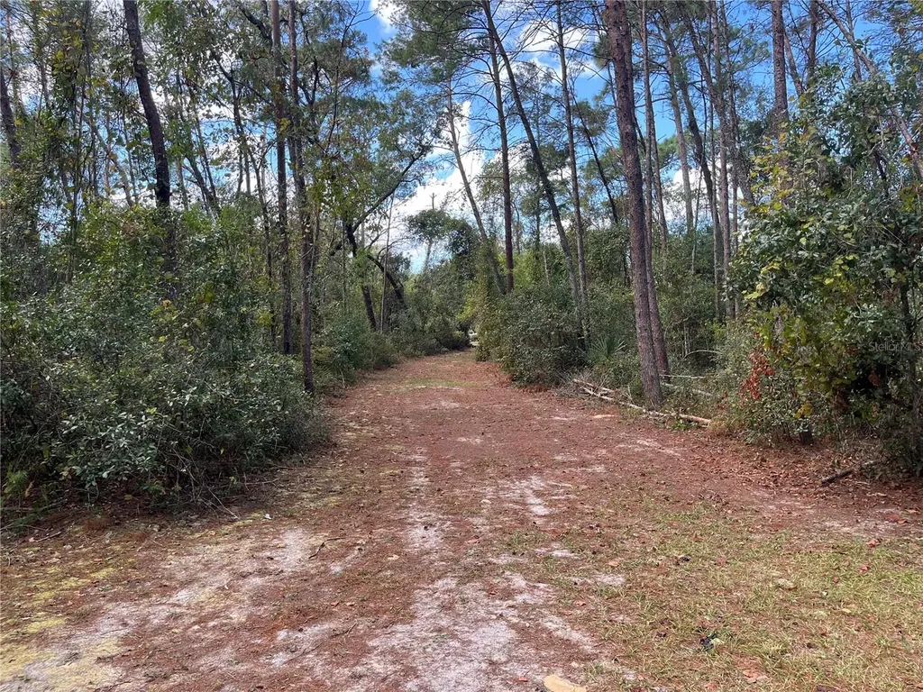0 5th Street Altoona FL 32702