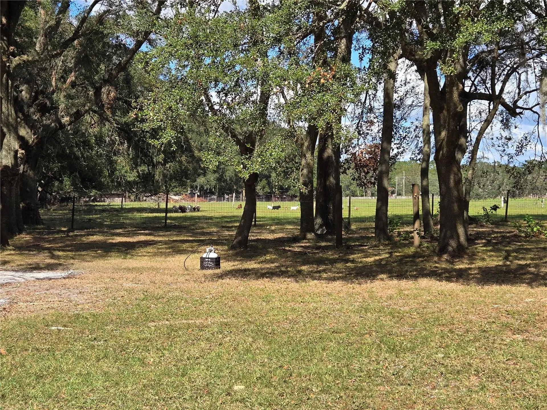 18151 Bosley Drive Spring Hill FL 34610