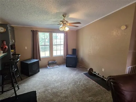 18151 Bosley Drive Spring Hill FL 34610