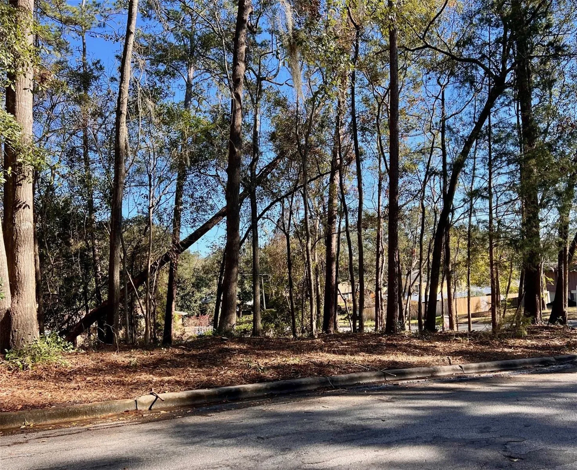 Tbd NW 52nd Terrace Gainesville FL 32605
