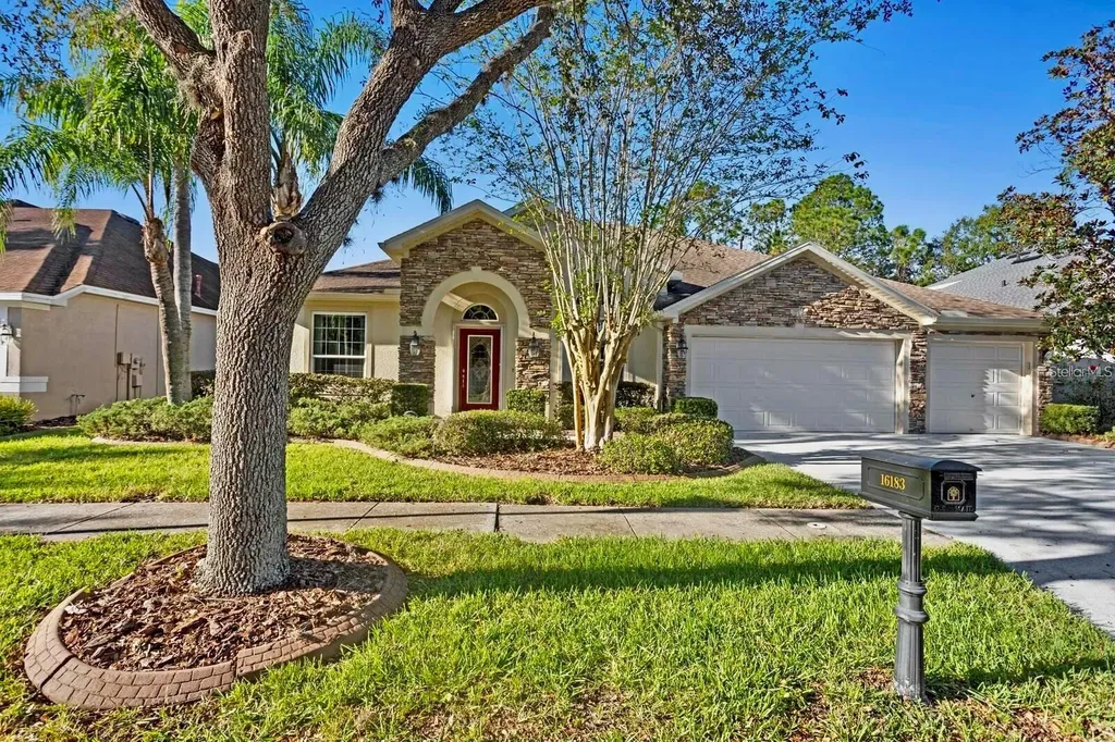 16183 Colchester Palms Drive Tampa FL 33647