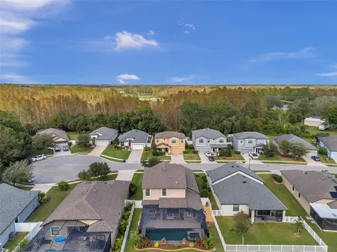 8417 Auburn Rise Court Land O Lakes FL 34638