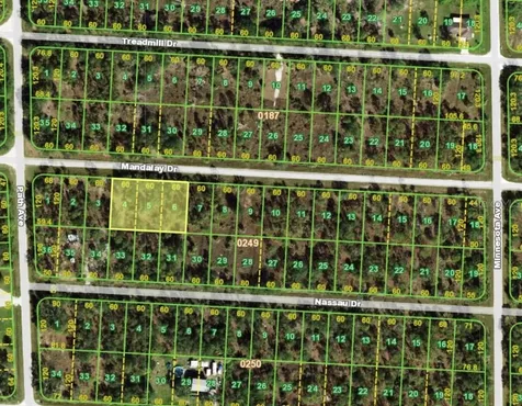 27301 Mandalay Drive Punta Gorda FL 33955