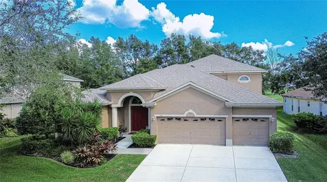 1521 Brilliant Cut Way Valrico FL 33594