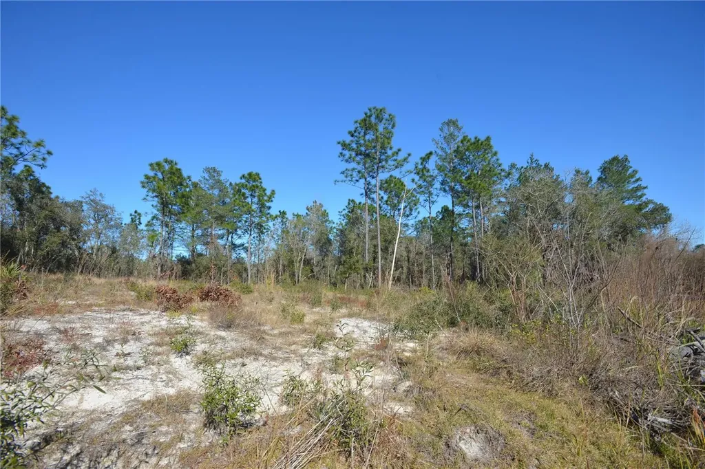 SW 144 Place Ocala FL 34473