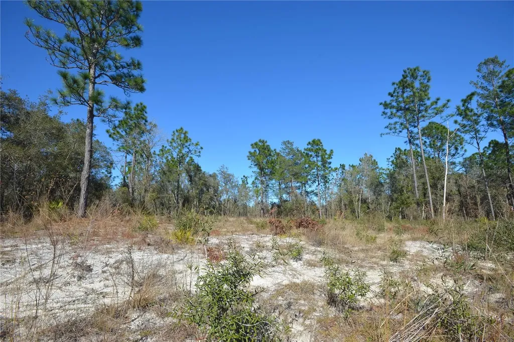 SW 144 Place Ocala FL 34473