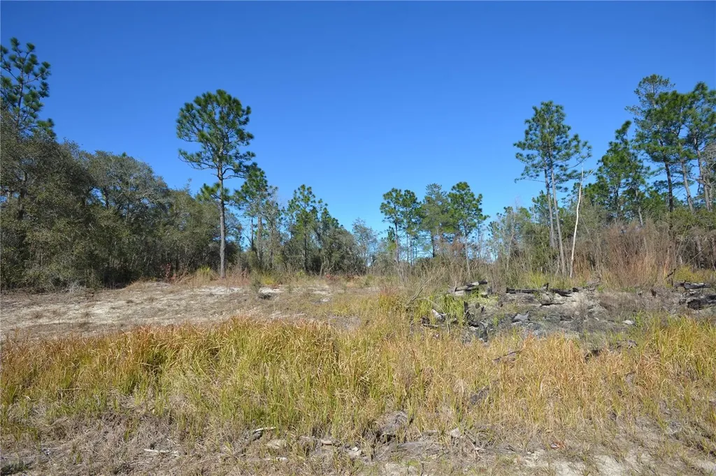 SW 144 Place Ocala FL 34473