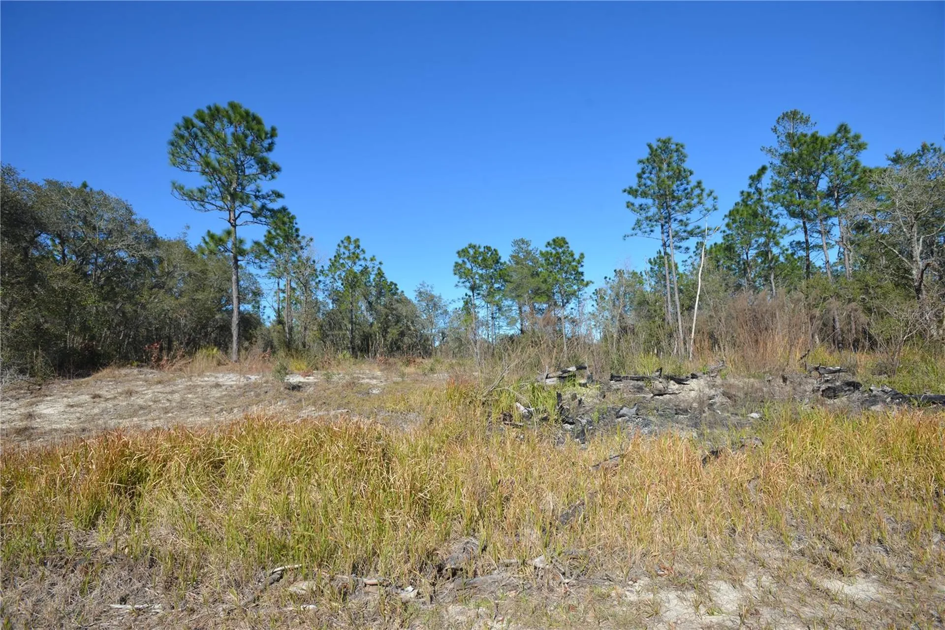 SW 144 Place Ocala FL 34473