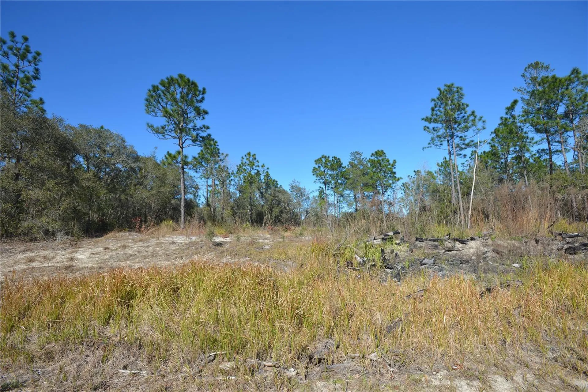 SW 144 Place Ocala FL 34473