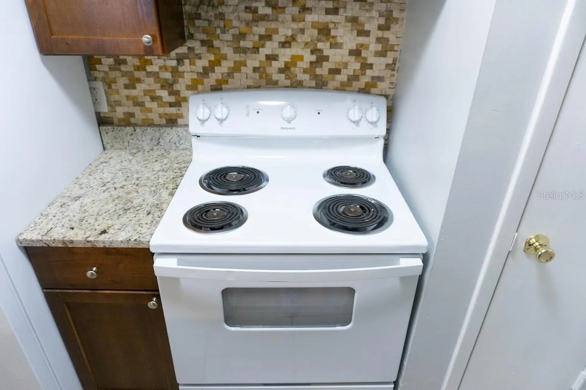 237 Thorn Tree Place Brandon FL 33510