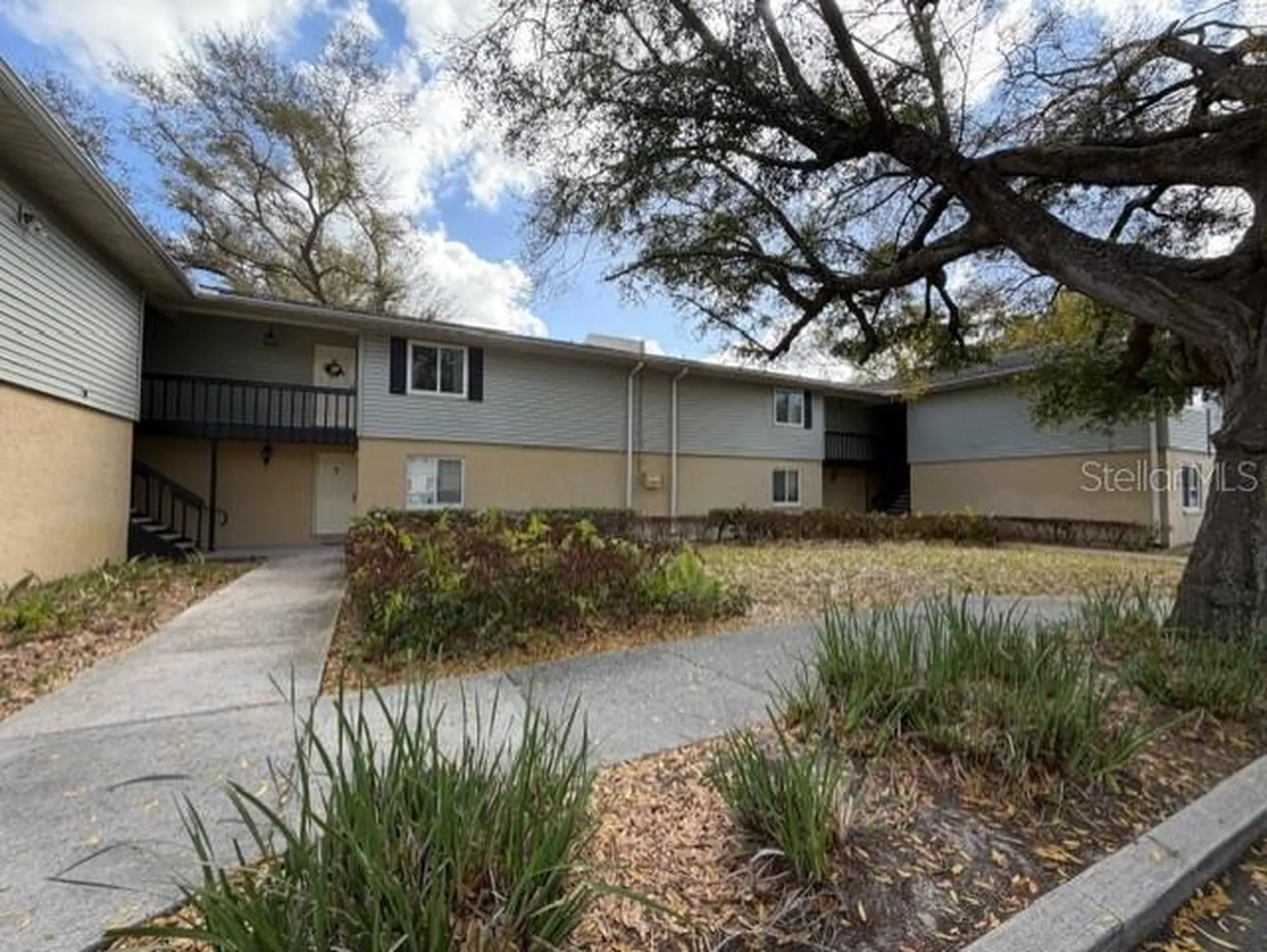 237 Thorn Tree Place Brandon FL 33510