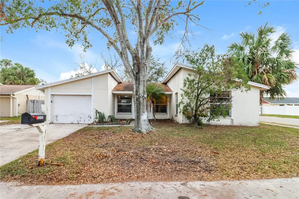 10106 Royal Acres Court Tampa FL 33615