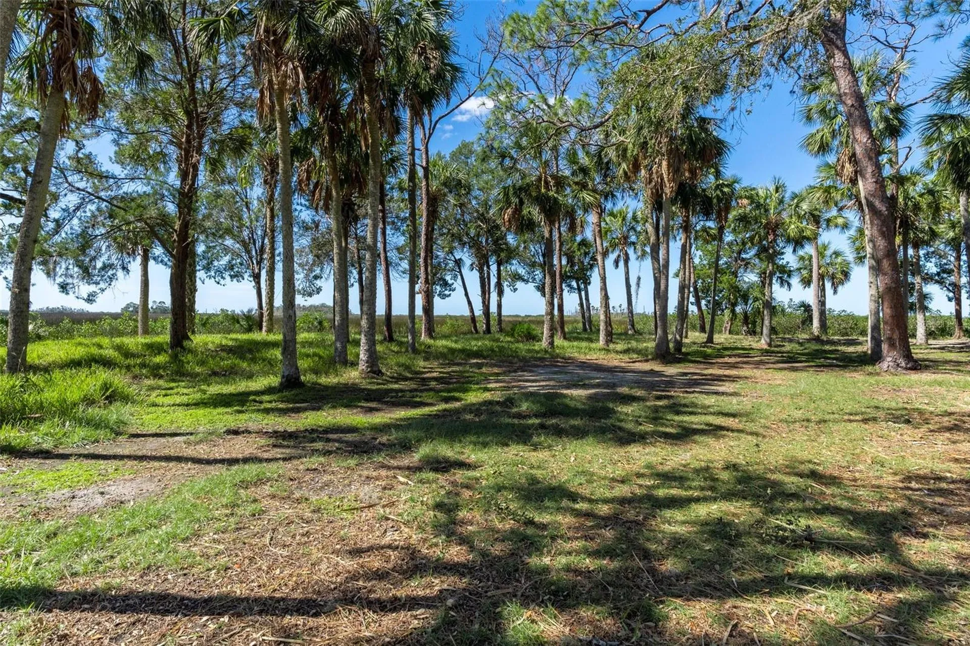 8812 Camp Lane Hudson FL 34667