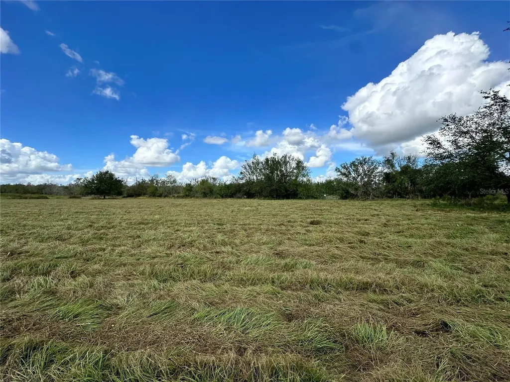 Wauchula Road Myakka City FL 34251