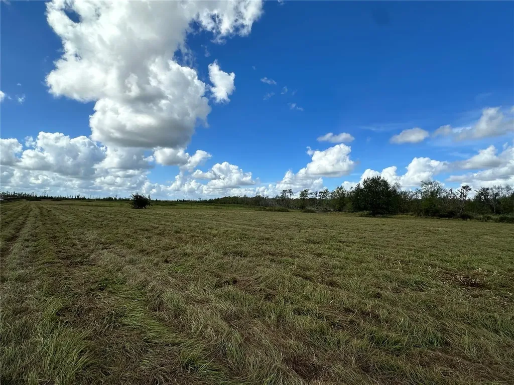 Wauchula Road Myakka City FL 34251