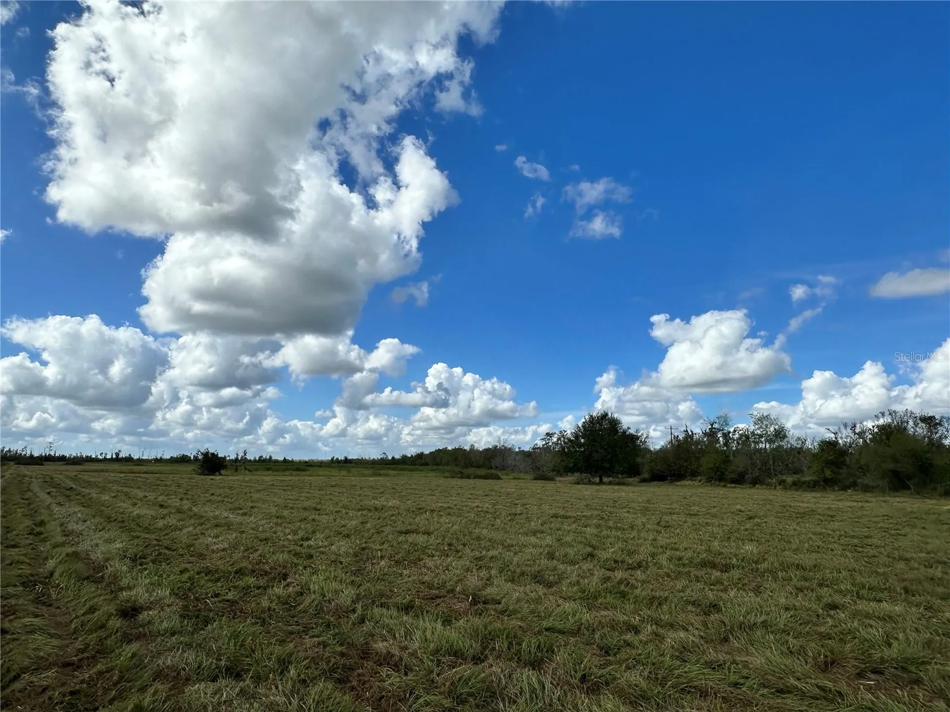 Wauchula Road Myakka City FL 34251