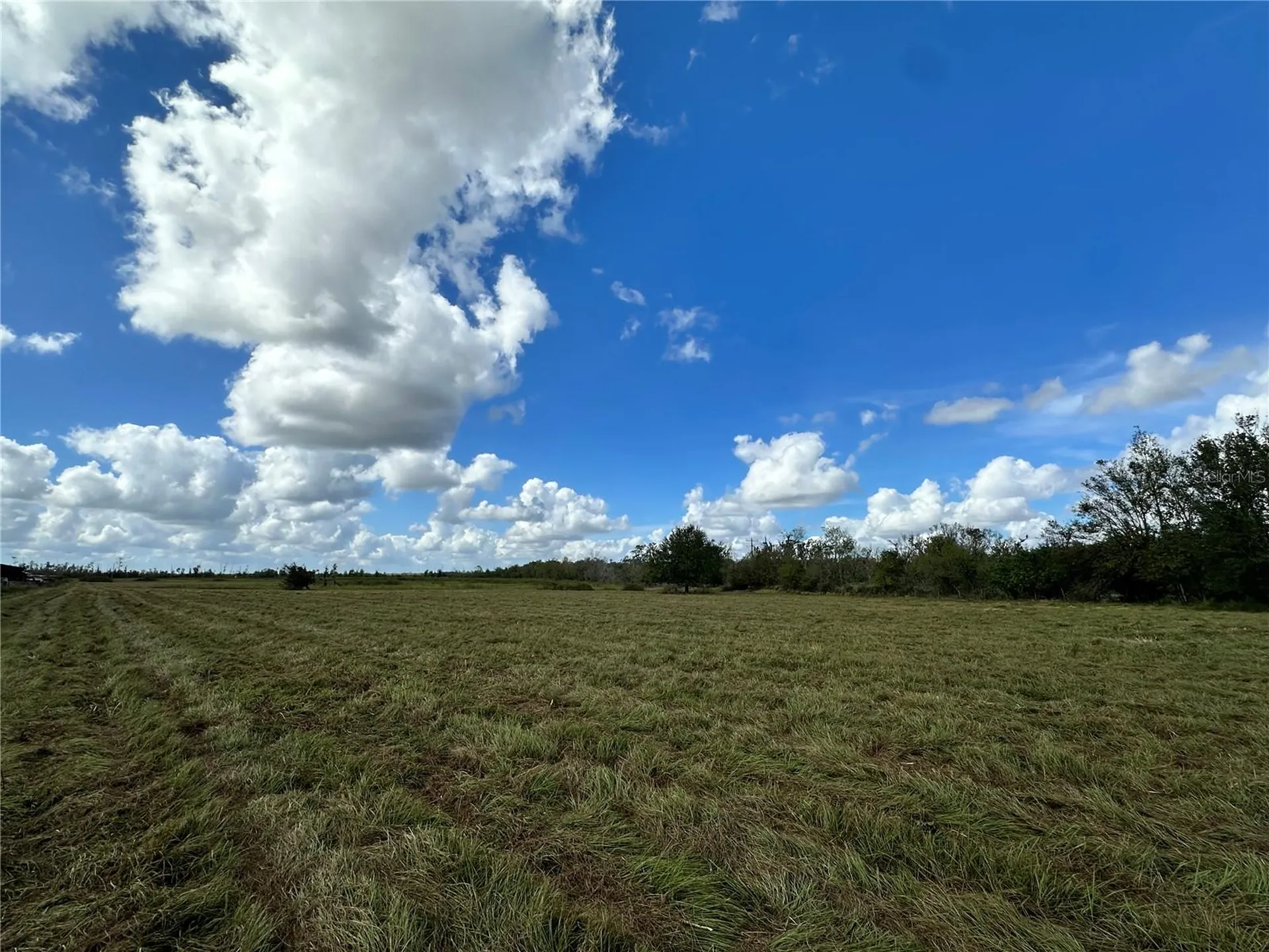 Wauchula Road Myakka City FL 34251