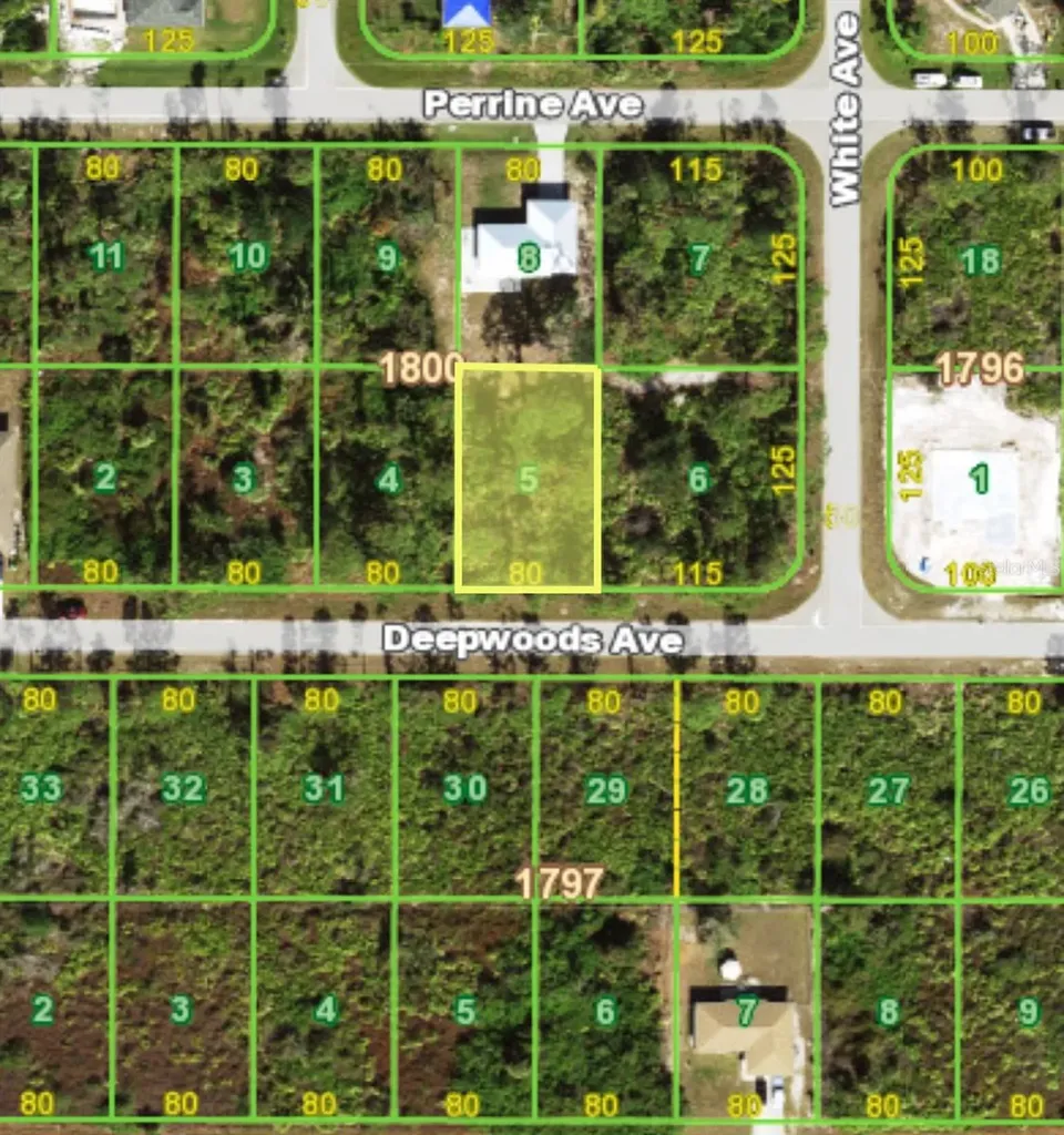 12438 Deepwoods Avenue Port Charlotte FL 33981