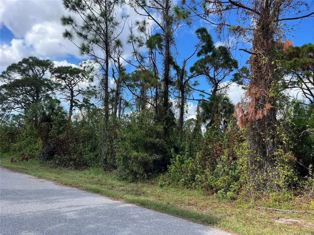 12438 Deepwoods Avenue Port Charlotte FL 33981