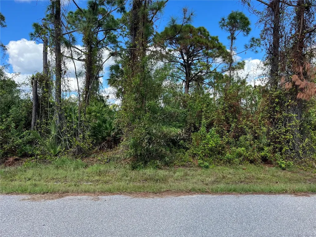 12438 Deepwoods Avenue Port Charlotte FL 33981
