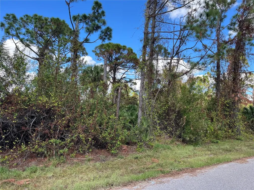 12438 Deepwoods Avenue Port Charlotte FL 33981