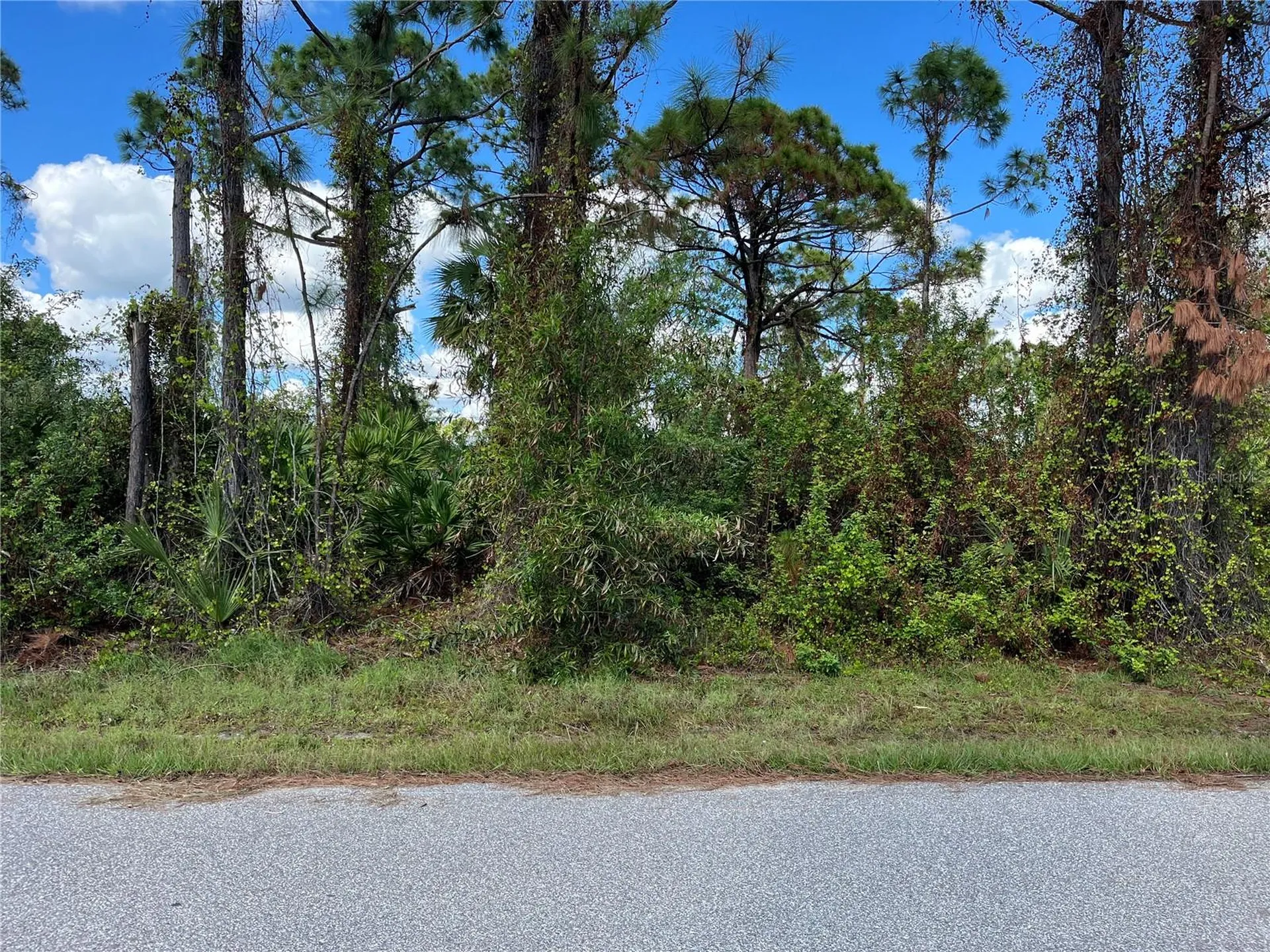 12438 Deepwoods Avenue Port Charlotte FL 33981