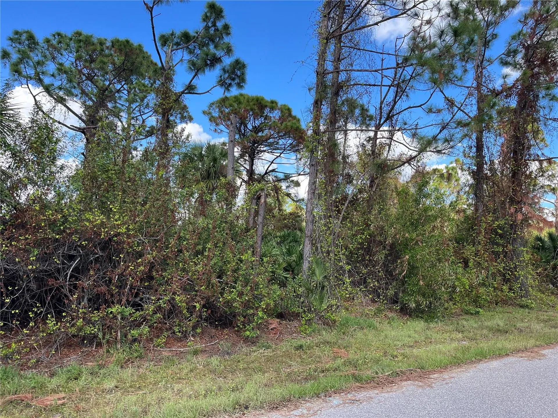 12438 Deepwoods Avenue Port Charlotte FL 33981