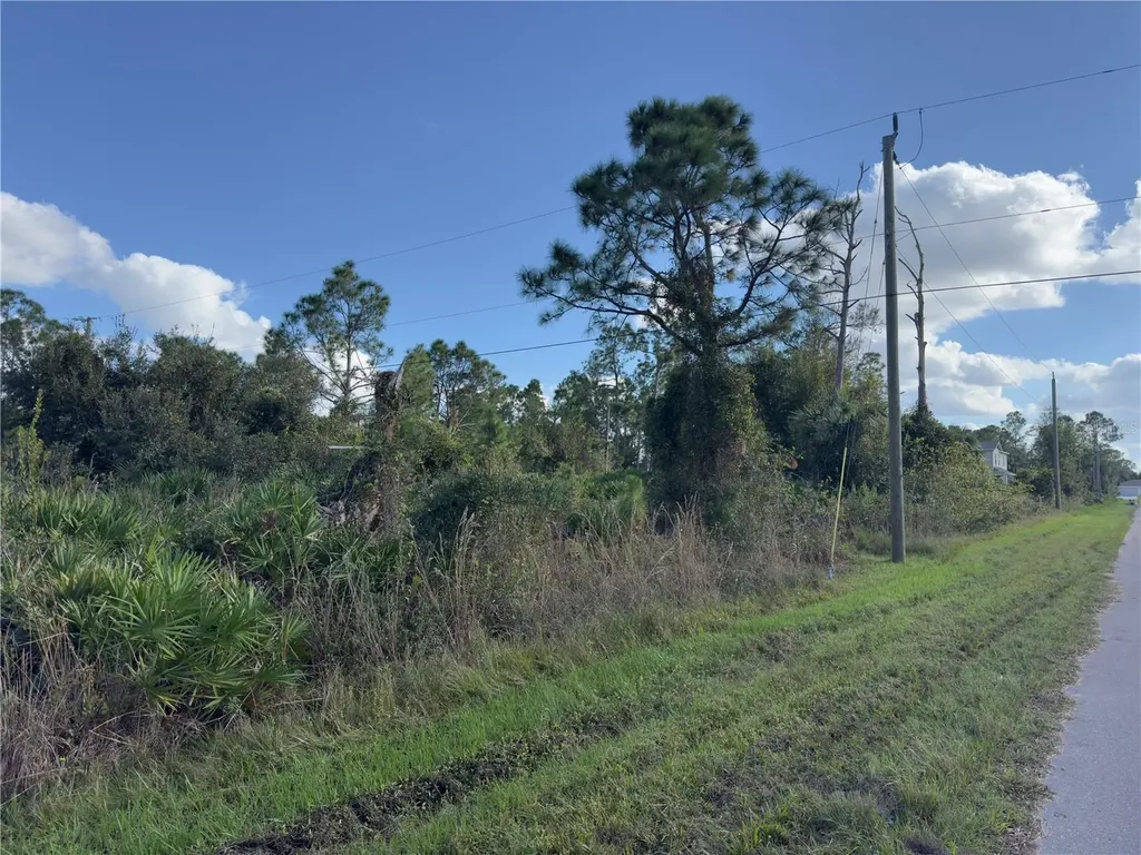 338 Hyacinth Street Port Charlotte FL 33954