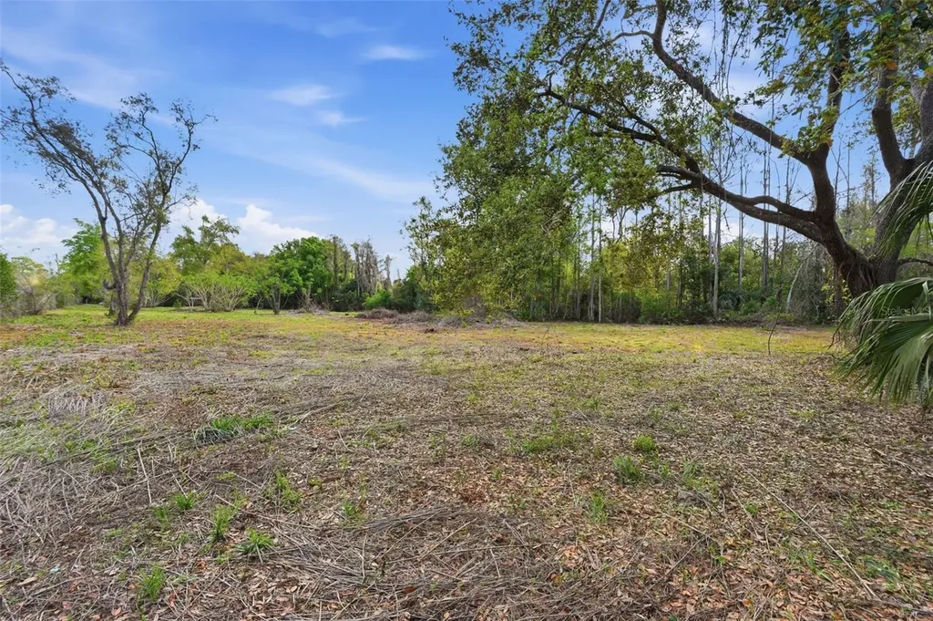 9906 Hilltop Drive New Port Richey FL 34654