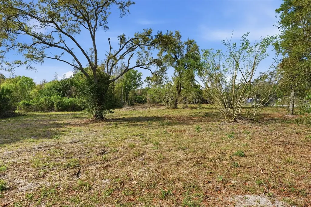 9906 Hilltop Drive New Port Richey FL 34654