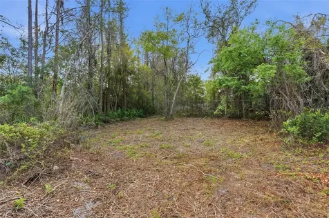 9906 Hilltop Drive New Port Richey FL 34654
